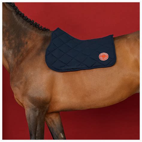 calzini hermes|hermes saddles.